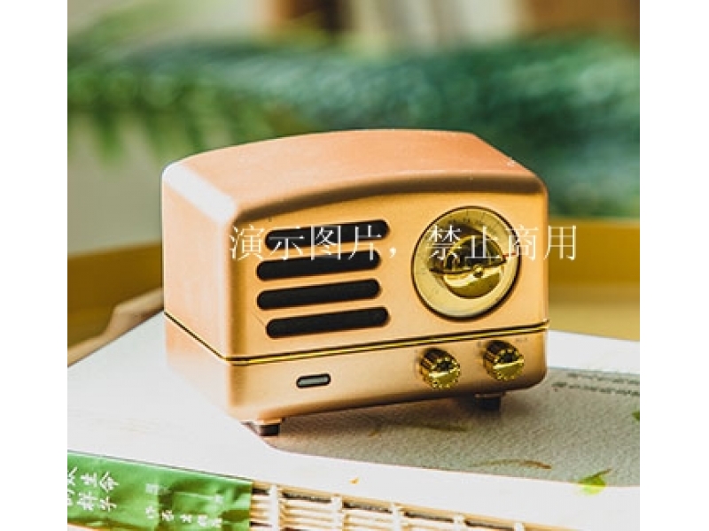 Smart Bluetooth speakerⅠ